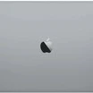 Ноутбук Apple MacBook Pro 15 Z0WW000SL 15.4 ", WQXGA+ 2880x1800 (16:10), Intel, Core i9, 32 Гб, 1 ТБ, AMD Radeon Pro Vega 20, Mac OS