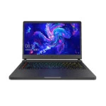 Ноутбук Xiaomi Mi gamebook JYU4086 (FHD 1920x1080 (16:9), Core i5, 8 Гб, HDD и SSD, 256 ГБ, nVidia GeForce GTX 1060)