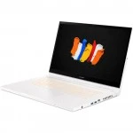 Мобильная рабочая станция Acer ConceptD 3 Ezel Pro CC315-72P-79A1 NX.C5QER.001 (15.6, FHD 1920x1080, Intel, Core i7, 16, SSD)