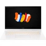 Мобильная рабочая станция Acer ConceptD 3 Ezel Pro CC315-72P-79A1 NX.C5QER.001 (15.6, FHD 1920x1080, Intel, Core i7, 16, SSD)