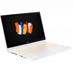 Мобильная рабочая станция Acer ConceptD 3 Ezel Pro CC314-72P-78Y4 NX.C5KER.002 (14, FHD 1920x1080, Intel, Core i7, 16, SSD)