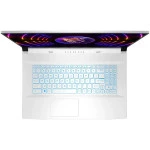 Ноутбук MSI Sword 17 A12VF-810XRU 9s7-17l522-810 (17.3 ", FHD 1920x1080 (16:9), Intel, Core i7, 32 Гб, 1 ТБ, NVIDIA GeForce RTX 4060)