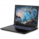 Ноутбук Colorful X16 Pro 23 A10003400457 (16 ", WQXGA 2560x1600 (16:10), Intel, Core i7, 16 Гб, 512 ГБ, NVIDIA GeForce RTX 4060)
