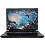 Ноутбук Colorful X16 Pro 23 A10003400457 (16 ", WQXGA 2560x1600 (16:10), Intel, Core i7, 16 Гб, 512 ГБ, NVIDIA GeForce RTX 4060)