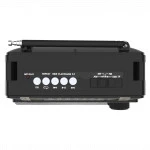 Портативная колонка Ritmix Радиоприемник портативный RPR-171 (Черный)