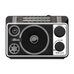 Портативная колонка Ritmix Радиоприемник портативный RPR-171 (Черный)