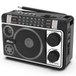 Портативная колонка Ritmix Радиоприемник портативный RPR-171 (Черный)