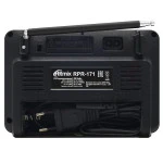 Портативная колонка Ritmix Радиоприемник портативный RPR-171 (Черный)