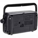 Портативная колонка Panasonic RF-2400DEE-K Черный