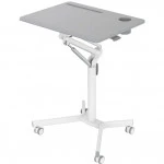 Cactus CS-FDS101WGY