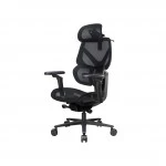 Компьютерный стул ThunderX3 FLEX Pro-Mesh Black TEGC-3076101.12