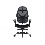 Компьютерный стул ThunderX3 FLEX Pro-Mesh Black TEGC-3076101.12