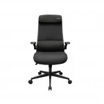 Компьютерный стул Cougar Stryder 3MSTDBLB.0001