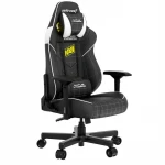 Компьютерный стул AndaSeat Navi Edition AD19-04-BW-PV