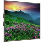 Опция для Видеоконференций Promethean AB10T88D