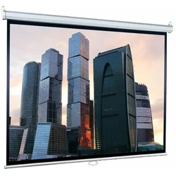 Проекционный экран Lumien Eco Picture LEP-100111