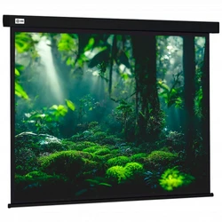Проекционный экран Cactus CS-PSW-213X213-BK