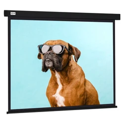 Проекционный экран Cactus CS-PSW-183X244-BK
