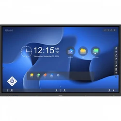 LED / LCD панель IQBoard LE065TE1300 (65 ")