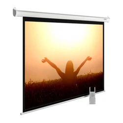 Проекционный экран Cactus CS-PSME-220X138-WT