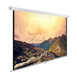 Проекционный экран Cactus CS-PSWE-240X180-WT