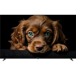 Телевизор Topdevice TDTV55CQ08U Black TDTV55CQ08U_BK 55 ", Smart TV, Черный
