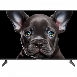 Телевизор Topdevice TDTV24CS08H Black TDTV24CS08H_BK (24 ", Smart TV, Черный)