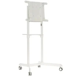 Опция к телевизору Digis DSM-P566