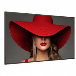 LED / LCD панель Philips 55BDL4650D/00 55 "