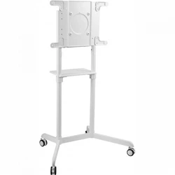 Опция к телевизору Cactus CS-ST1146WT