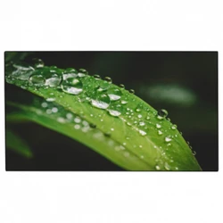 LED / LCD панель Dahua DHI-LS550UCM-UF (55 ")