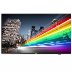 LED / LCD панель Philips 55BFL2214/12