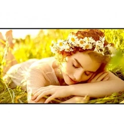 LED / LCD панель LG 55UL5Q-M 55 "