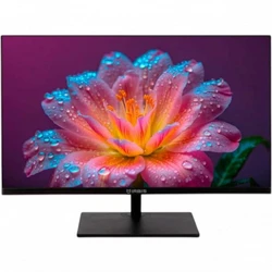 Монитор Irbis Mir View R24FIDS123.100_MIR 23.8 ", IPS, Full HD 1920x1080 (16:9), 100 Гц