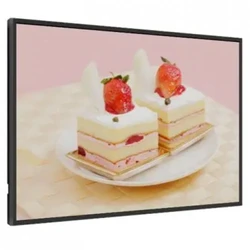 LED / LCD панель Exell EXPD-DA43AH5 43 "