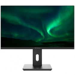 Монитор Raskat I27F10DAP 27 ", IPS, Full HD 1920x1080 (16:9), 100 Гц