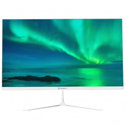 Монитор Raskat I24F10DAW 23.8 ", IPS, Full HD 1920x1080 (16:9), 100 Гц