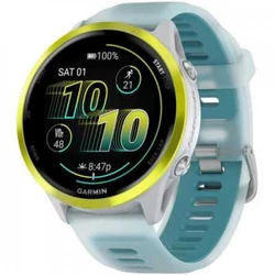 Garmin Forerunner 010-02971-01 Смарт-часы
