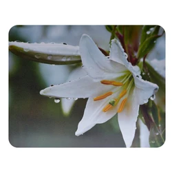 Коврик для мышки Buro BU-M20041