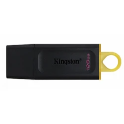 USB флешка (Flash) Kingston DTX/128GB2 128 ГБ