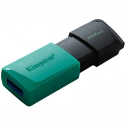 USB флешка (Flash) Kingston DataTraveler Exodia M DTXM/256GB 256 ГБ