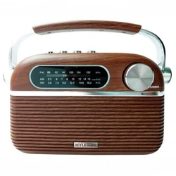 Портативная колонка Hyundai H-PSR200 Коричневый