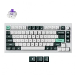 Клавиатура Keychron Q1 HE (Q1H-P1P-RU) Беспроводная, USB