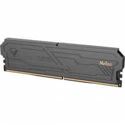 ОЗУ Netac NTSHD5P60SP-16KC 543419 DIMM, DDR5, 16 Гб, 6000 МГц
