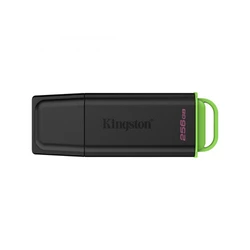 USB флешка (Flash) Kingston DTXG2/256GB 256 ГБ