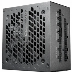 Блок питания Cougar GEX X2 1000 CGR GEX X2 1000 1000 Вт, 80+ Gold