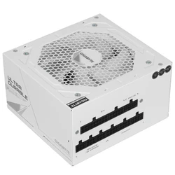 Блок питания Gigabyte UD1000GM PG5 V2 ICE 28200-U10GI-1CEUR 1000 Вт, 80+ Gold