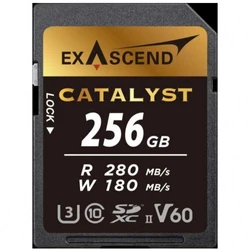 Флеш (Flash) карты Exascend Catalyst EX256GSDV60 256 ГБ