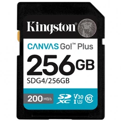 Флеш (Flash) карты Kingston Canvas Go Plus Gen4 C10 SDG4/256GB 256 ГБ