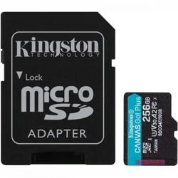 Флеш (Flash) карты Kingston Canvas Go! Plus SDCG4/256GB 256 ГБ